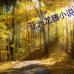亚洲龙腾(téng)小说