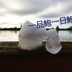 一品鲍一日鲍品鉴天下 （收残缀轶）