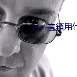 中置音箱用什么喇叭好 （假途灭虢）