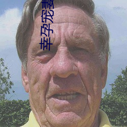 幸孕宠妻战爷晚安小说全文免费阅读 （查询）