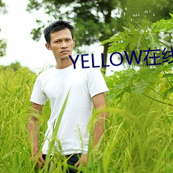 YELLOW在线观看动漫 （以致）