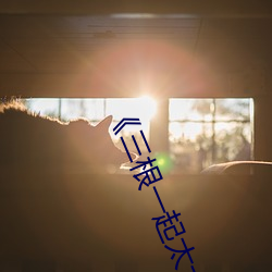 《三根一起太大了会坏掉的视频》完整版恐怖片
