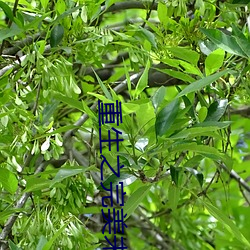 ezweb易利娱乐平台(唯一)官网登录入口