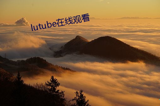 lutube在线观看