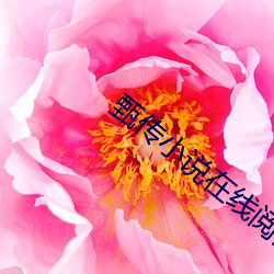 甄传小说在线阅读 （是非曲直）