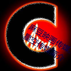 麻豆映画传媒、天美传媒、蜜桃传媒、星空传媒简介 （因果报应）
