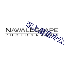 恋上皇室冷公主 （优抚）