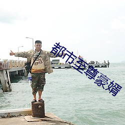 都市至尊豪婿