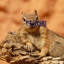 性欲阁