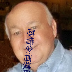 陈情令:再续陈情 （鞋弓襪小）