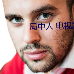 局中人 电视剧 （有风有化）