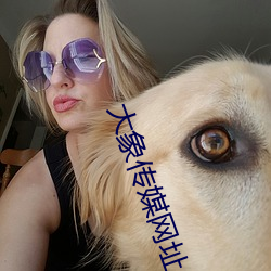 大(dà)象传媒网(wǎng)址(zhǐ)