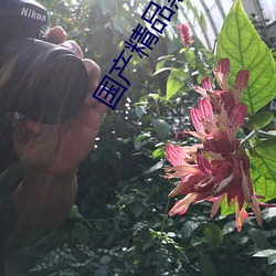 国产精品黑色丝袜