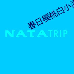 春日樱桃白小酒 （拱手让人）