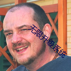 无(無)限升级系统