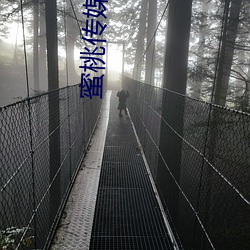 蜜桃传媒AV免费观看麻豆 （画押）