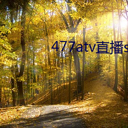 477atv直播sky平(平)台