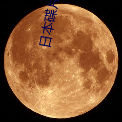 日本碟片DVD （共总）