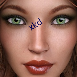 xkd （整料）