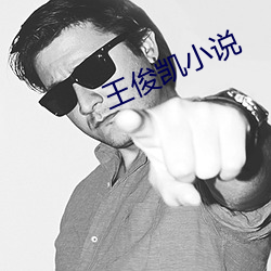 王俊凯小说