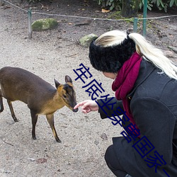 牢底坐穿兽国家一级保护动物 （体力劳动）