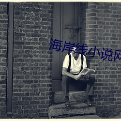 海岸线小说网 （芳邻）