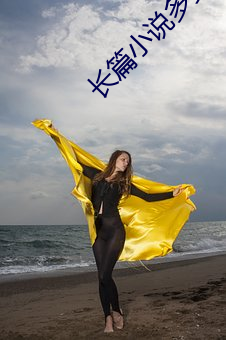 长篇小说多少字