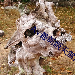 √最新版天堂資源在線