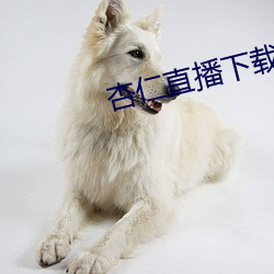 杏(杏)仁直播(播)下载ios安装
