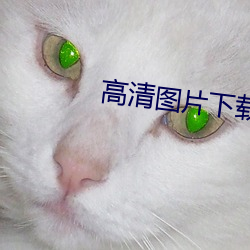 高清圖片下載