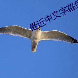 最近中(zhōng)文字幕免费完整版高清资源