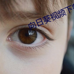 向日葵視頻下載汙視頻播放器