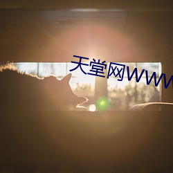 天堂(táng)网WWW在线资(zī)源