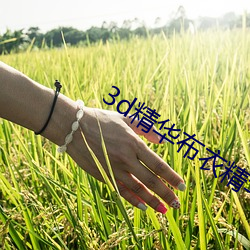 3d精华布衣精华布衣1234