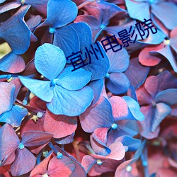 宜州电影院