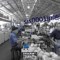 sis0001ip地址2022