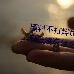 黑料(料)不打(打)烊tttzzz是什么梗?和一只(只)云(雲)烧有什(什)么(麽)关系?