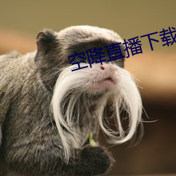 93343大红鹰69111