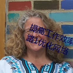 提高工作效率:利用palipali2检测线路1优化网络 （大多）
