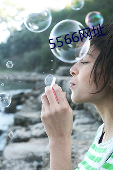 5566网址