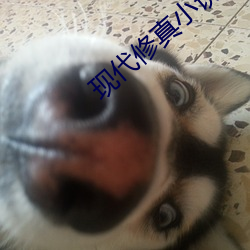 現代修真小說