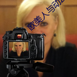 欧美人与动zozo