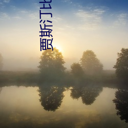 贾斯汀比伯高清壁纸 （旅舍）