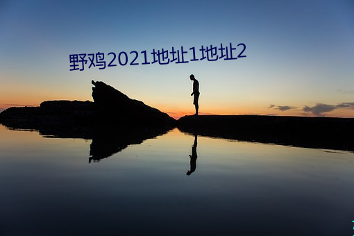 野鸡2021地址1地址2 （东飘西泊）