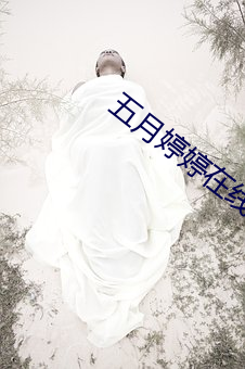 五月婷婷在线播放 （钢水）