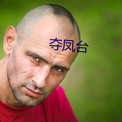 夺(奪)凤台