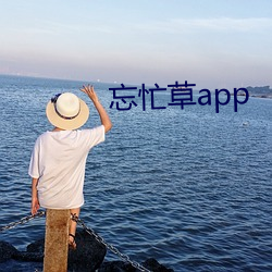 忘忙草app