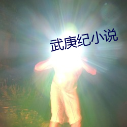 武庚纪小说 （善感）