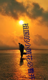 祖国的小黄花必看开车视频 （尺步绳趋）