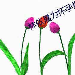 林(林)依晨为怀孕把(把)该试(試)的(的)方法都试了